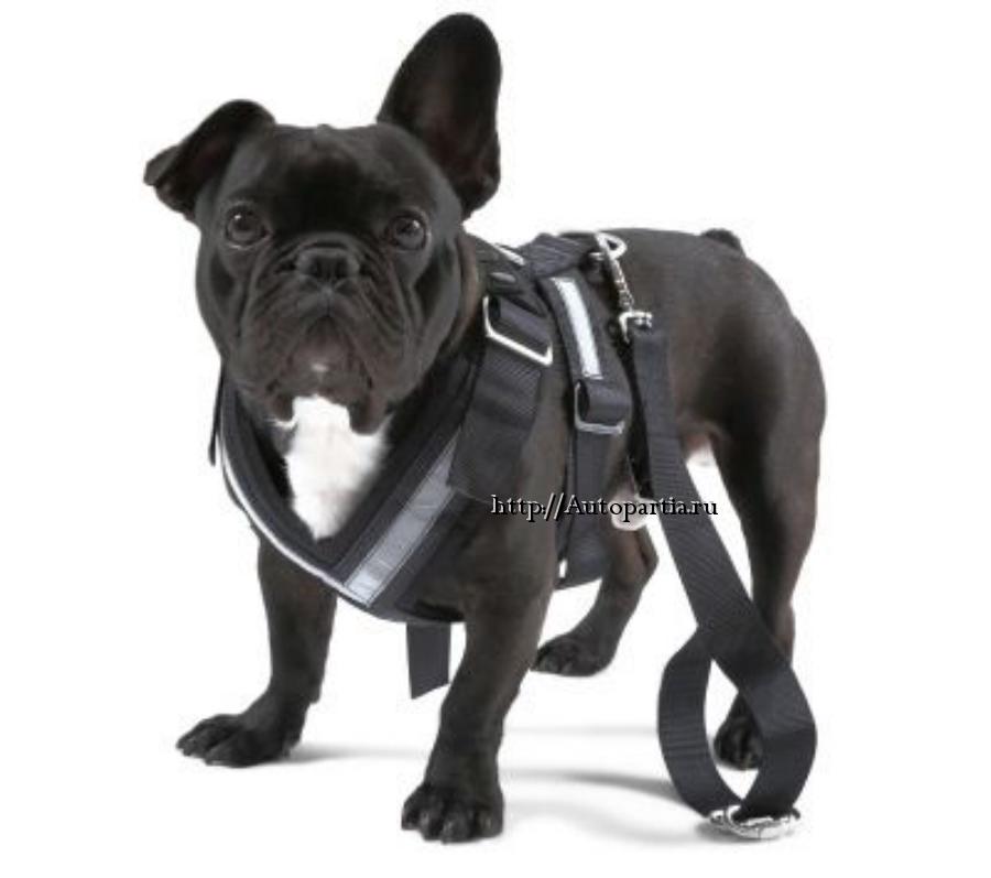 Ремень безопасности для собаки Skoda Dog Safety Belt размер L